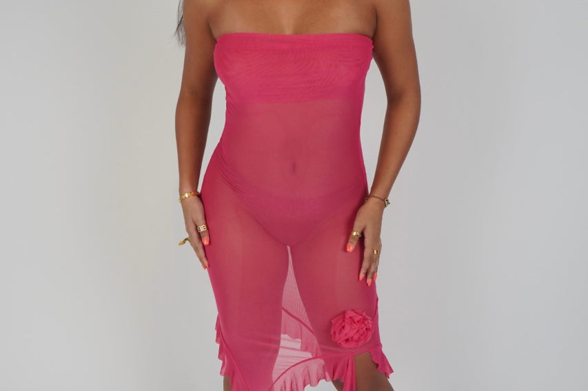 PINK-A-BOO DRESS - BrittnieBillions